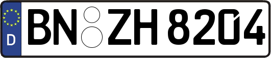 BN-ZH8204