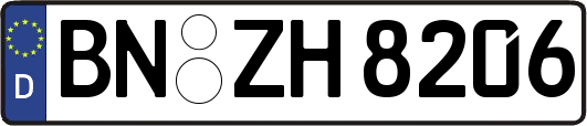 BN-ZH8206