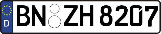 BN-ZH8207