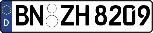 BN-ZH8209