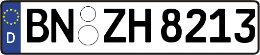 BN-ZH8213