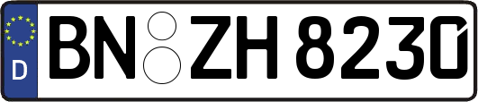 BN-ZH8230