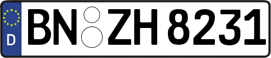 BN-ZH8231