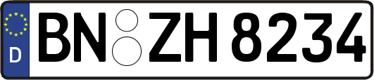 BN-ZH8234