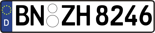 BN-ZH8246