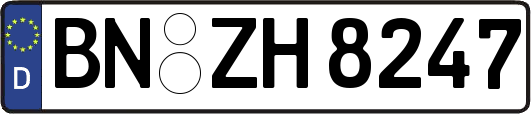 BN-ZH8247