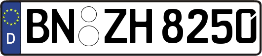 BN-ZH8250