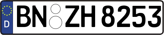 BN-ZH8253