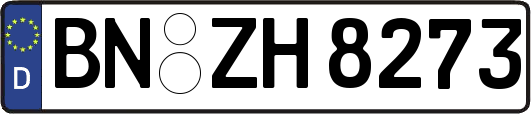 BN-ZH8273