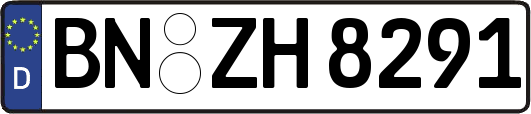 BN-ZH8291