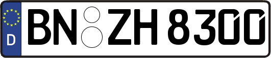 BN-ZH8300
