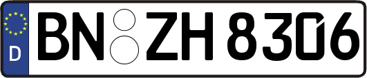 BN-ZH8306