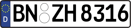 BN-ZH8316