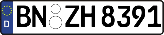 BN-ZH8391