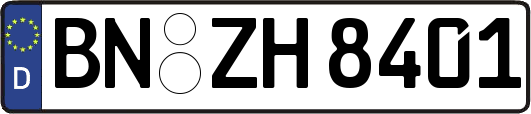 BN-ZH8401