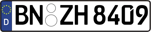 BN-ZH8409