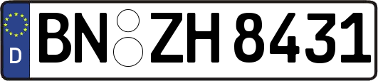 BN-ZH8431