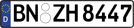 BN-ZH8447