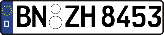 BN-ZH8453