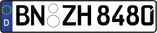 BN-ZH8480