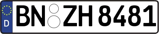BN-ZH8481