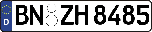 BN-ZH8485