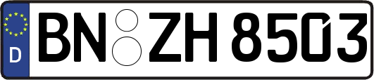 BN-ZH8503