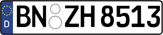 BN-ZH8513