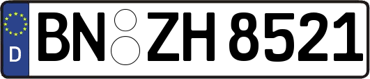 BN-ZH8521