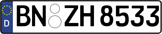 BN-ZH8533