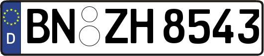 BN-ZH8543