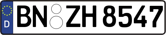 BN-ZH8547