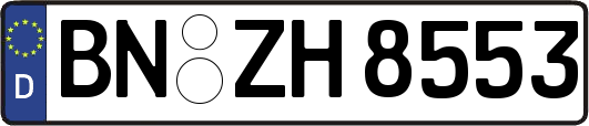 BN-ZH8553
