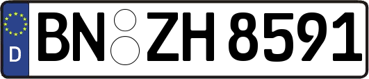 BN-ZH8591