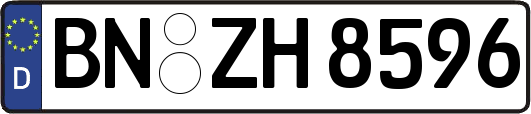 BN-ZH8596