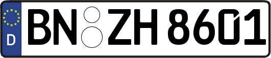 BN-ZH8601