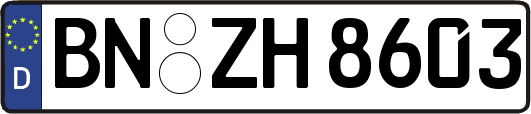 BN-ZH8603