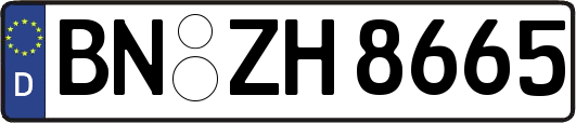 BN-ZH8665