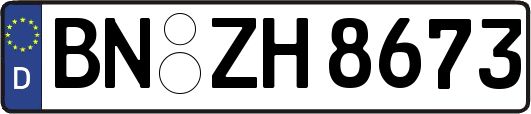 BN-ZH8673