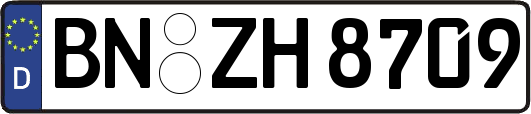 BN-ZH8709
