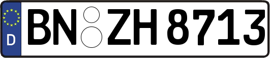 BN-ZH8713