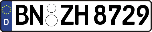 BN-ZH8729