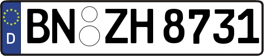 BN-ZH8731