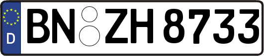 BN-ZH8733