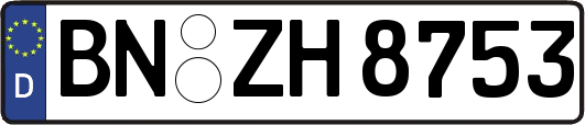 BN-ZH8753