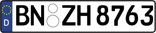 BN-ZH8763