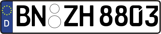 BN-ZH8803