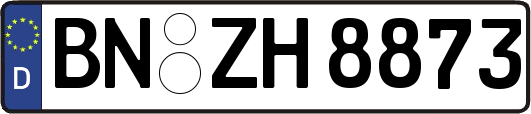BN-ZH8873