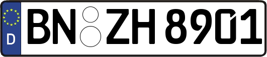 BN-ZH8901