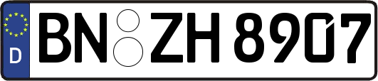BN-ZH8907